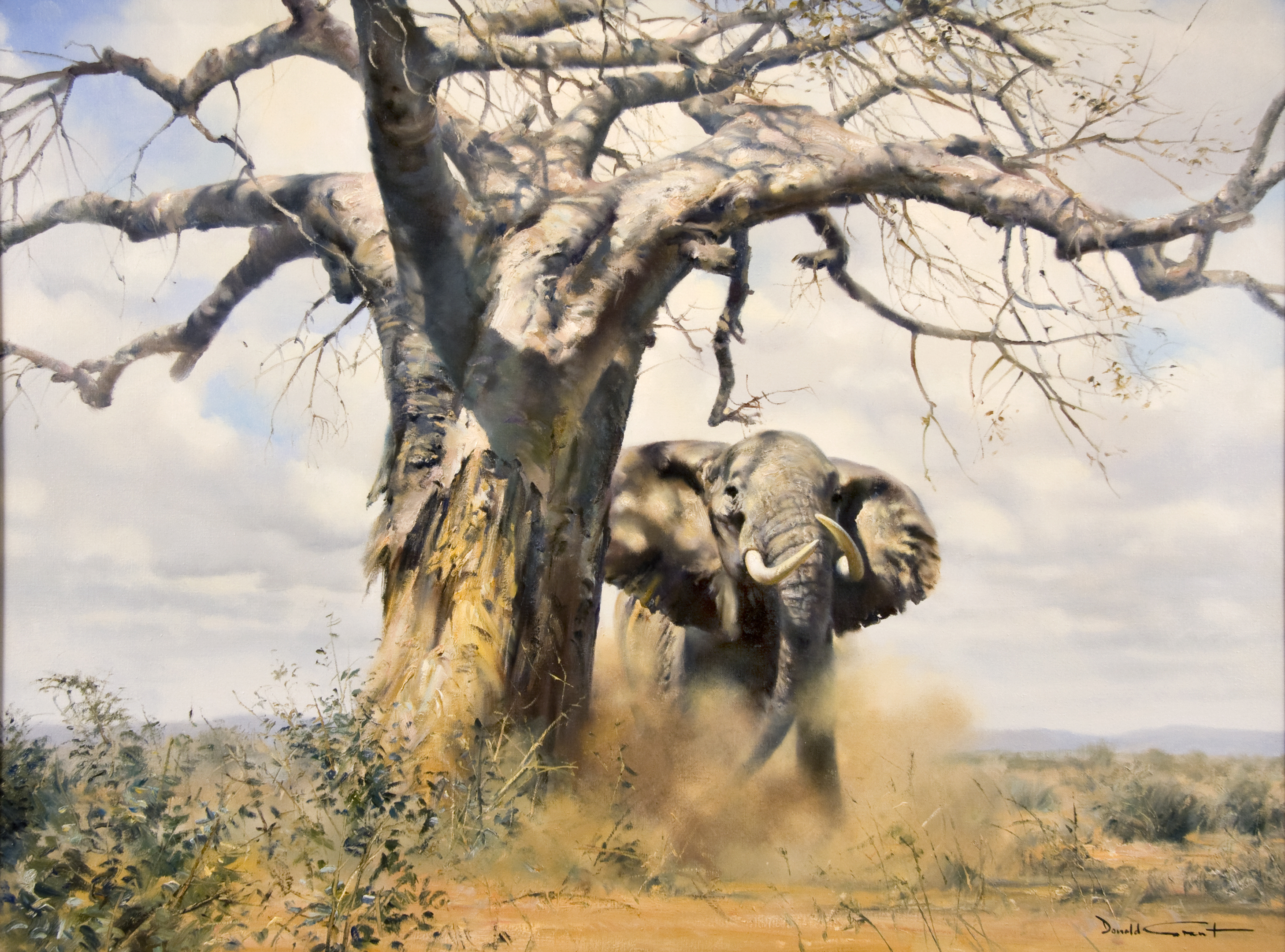Пейзажи Африки живопись баобаб