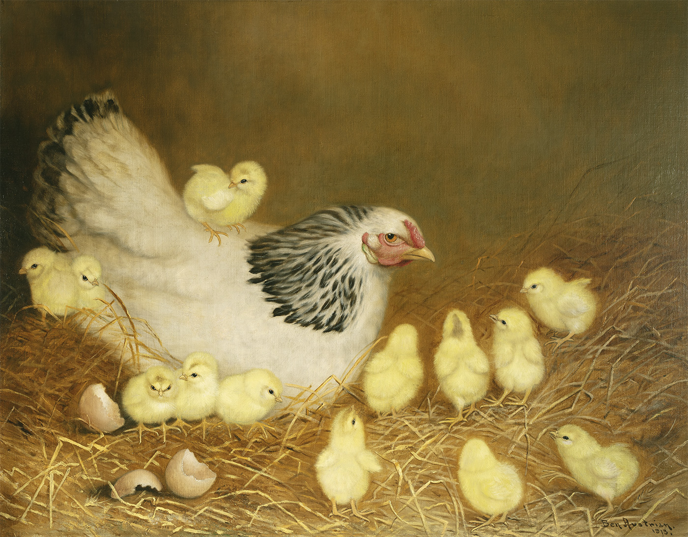 alt White Hen with Chickens