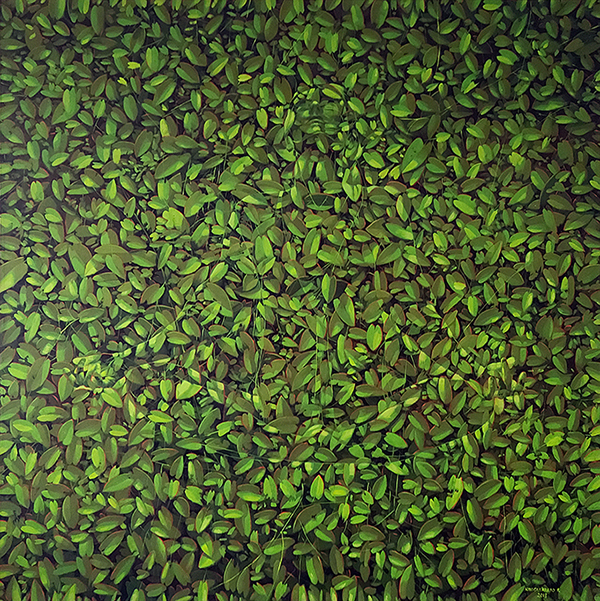 Ivan Loboguerrero, Respiracion Profunda, 2018, Oil on linen, 66 7/8 x 67 inches (170.2 x 170.2 cm)